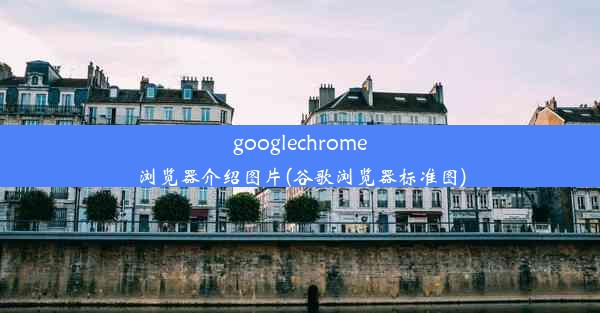 googlechrome浏览器介绍图片(谷歌浏览器标准图)