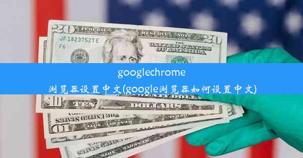 googlechrome浏览器设置中文(google浏览器如何设置中文)