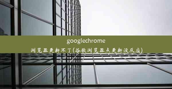 googlechrome浏览器更新不了(谷歌浏览器点更新没反应)