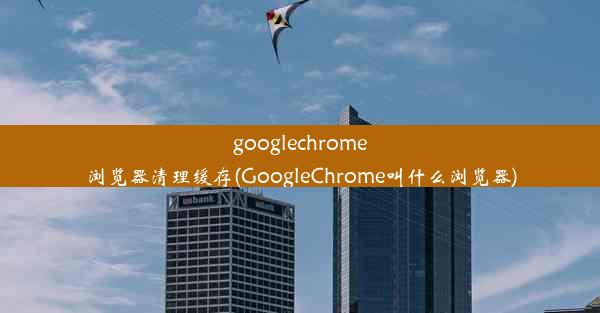 googlechrome浏览器清理缓存(GoogleChrome叫什么浏览器)