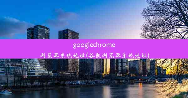 googlechrome浏览器系统地址(谷歌浏览器系统地址)