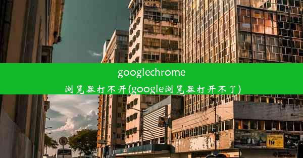 googlechrome浏览器打不开(google浏览器打开不了)