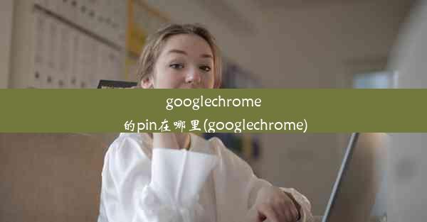 googlechrome的pin在哪里(googlechrome)