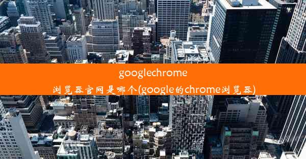 googlechrome浏览器官网是哪个(google的chrome浏览器)