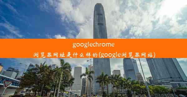 googlechrome浏览器网址是什么样的(google浏览器网站)