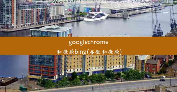 googlechrome和微软bing(谷歌和微软)