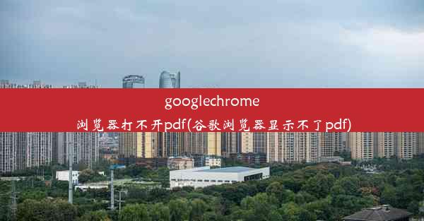 googlechrome浏览器打不开pdf(谷歌浏览器显示不了pdf)