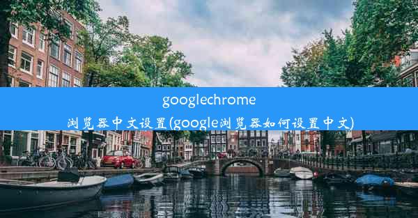 googlechrome浏览器中文设置(google浏览器如何设置中文)