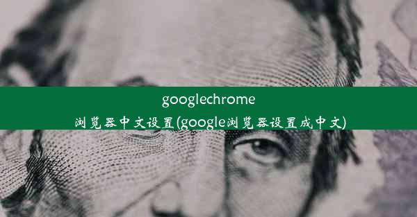 googlechrome浏览器中文设置(google浏览器设置成中文)