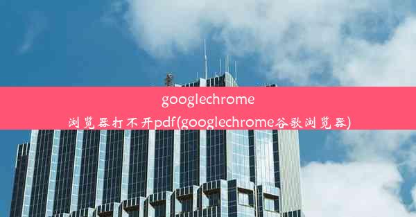 googlechrome浏览器打不开pdf(googlechrome谷歌浏览器)