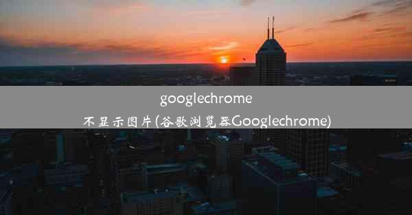 googlechrome不显示图片(谷歌浏览器Googlechrome)