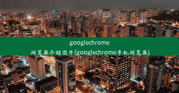 googlechrome浏览器介绍图片(googlechrome手机浏览器)