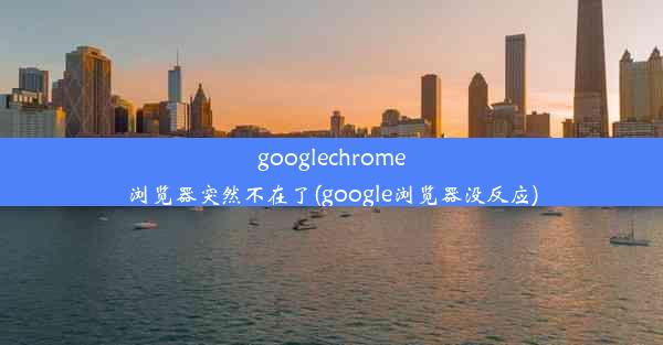 googlechrome浏览器突然不在了(google浏览器没反应)