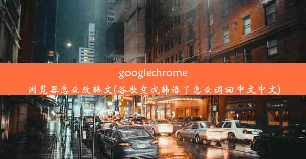 googlechrome浏览器怎么改韩文(谷歌变成韩语了怎么调回中文中文)